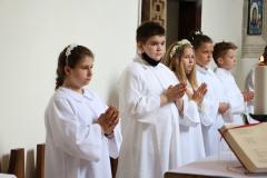 20210530110805_IMG_3992