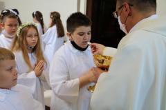 20210530112943_IMG_4053