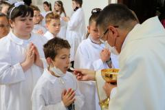 20210530112954_IMG_4059