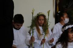 20210530113710_IMG_4074