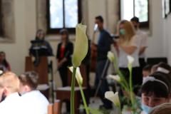 20210530113750_IMG_4078