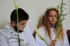 20210530114003_IMG_4082